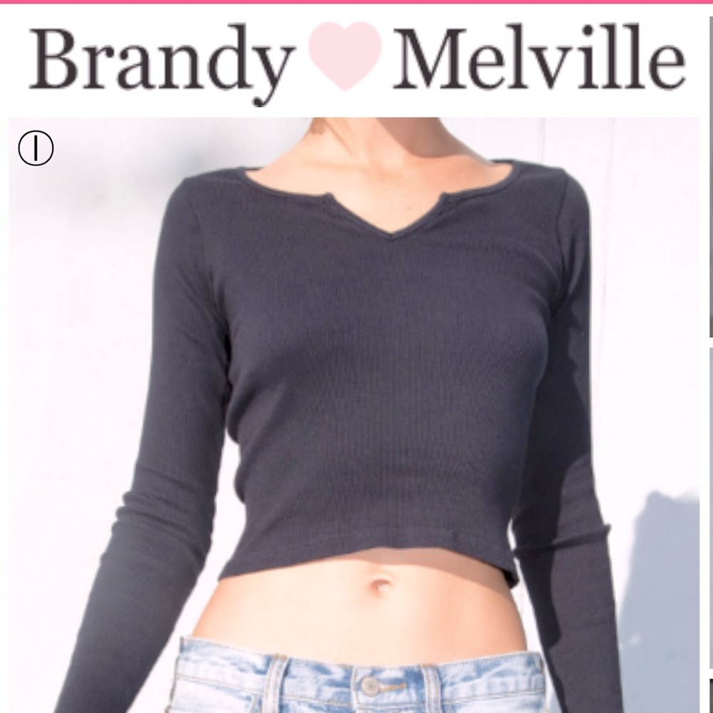 BRANDY MELVILLE Long Sleeve Crop Top